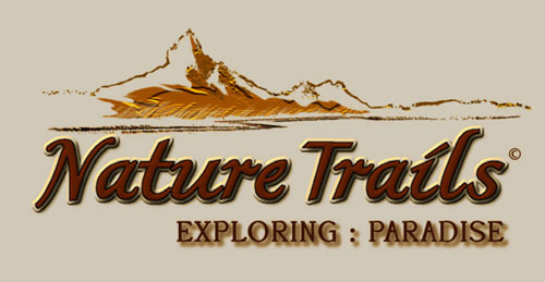 Footer Logo Naturetrails Mauritius