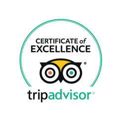 Icon TripAdvisor